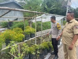 Urban farming di Tengah Kota, Polres Pelabuhan Makassar Gaspol Program Ketahanan Pangan