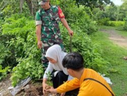 Aksi Hijaukan Bajeng, Babinsa dan Mahasiswa KKN UNM Tanam Puluhan Pohon Mahoni di Kelurahan Kalebajeng
