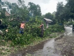 Aksi Sigap Babinsa Bontonompo: Serma Zainuddin Bersama Warga Atasi Pohon Tumbang, Akses Jalan Kembali Lancar