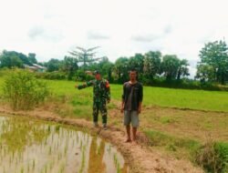 Ketahanan Pangan Pilar Pembangunan: Motivasi Babinsa Gowa Bakar Semangat Petani Kelurahan Tamallayang