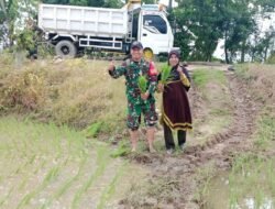Tutup Tahun dengan Aksi Nyata: Babinsa Kodim 1409/Gowa Turun ke Sawah Dampingi Perawatan Padi