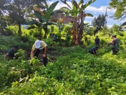 Wujudkan Desa Asri, Babinsa Kodim Gowa Pimpin Karya Bakti dan Penanaman Bibit di Kantor Desa Timbuseng