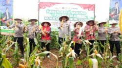 Kapolres Gowa Hadiri Panen Raya Jagung Serentak Kuartal IV 2026 di Bontomarannu