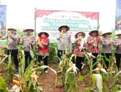 Kapolres Gowa Hadiri Panen Raya Jagung Serentak Kuartal IV 2026 di Bontomarannu