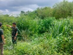 Akselerasi Ekonomi Desa: Danramil Bajeng Tinjau Lokasi Strategis Pembangunan Koperasi Merah Putih