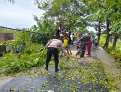 Aksi Cepat Babinsa Kodim 1409/Gowa Evakuasi Pohon Tumbang di Jalur Vital Taborong-Jembatan Kembar