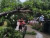 Sigap! Babinsa Gowa Evakuasi Pohon Tumbang yang Menutup Jalur Poros Galesong