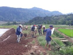 Antisipasi Kerusakan Jalan, Babinsa Gowa Pimpin Warga Karya Bakti Gali Parit