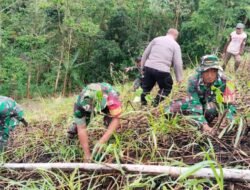 Investasi Masa Depan: Koramil Tompobulu Kodim 1409/Gowa dan Pemerintah Biringbulu Kompak Aksi Tanam Pohon Cegah Erosi