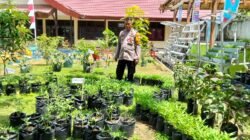 Hadirkan Kebun Mini, Polres Pelabuhan Makassar Buktikan Kota Juga Bisa Mandiri Pangan