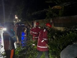 Pohon Tumbang Hambat Jalan Poros Limbung–Takalar, Samapta Polres Gowa Sigap Bertindak