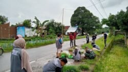 Hijaukan Desa, Babinsa Romanglasa Kodim 1409/Gowa Gandeng Mahasiswa UNM dan Karang Taruna Tanam Pucuk Merah