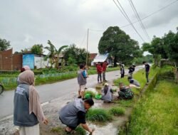 Hijaukan Desa, Babinsa Romanglasa Kodim 1409/Gowa Gandeng Mahasiswa UNM dan Karang Taruna Tanam Pucuk Merah