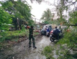 Aksi Sigap Babinsa Koramil 06/Bajeng Atasi Kemacetan Akibat Pohon Tumbang di Lingkungan Majannang