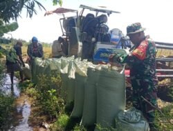 Pastikan Stok Pangan Aman, Babinsa Koramil 08/Bontonompo Pantau Distribusi Hasil Panen