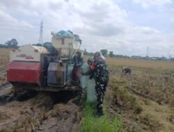 Optimalkan Ketahanan Pangan, Koramil 1409-05/Pallangga Dampingi Penyaluran Hasil Panen Inpari 32
