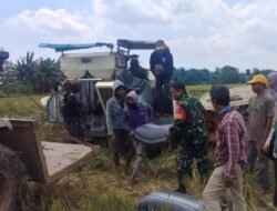 Pastikan Stok Pangan Mandiri, Babinsa Koramil 06/Bajeng Pantau Langsung Serap GKP di Desa Pabbentengan