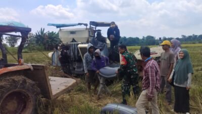 Pastikan Stok Pangan Mandiri, Babinsa Koramil 06/Bajeng Pantau Langsung Serap GKP di Desa Pabbentengan
