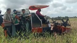 Pastikan Stok Pangan Aman, Danramil 1409-06/Bajeng Kawal Panen Raya Poktan Juluero