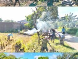 Wujudkan Lingkungan Bersih dan Asri, Babinsa Koramil 08/Bontonompo dan Warga Alerang Kompak Gelar Karya Bakti