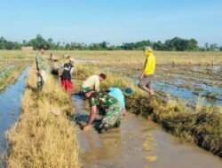 Perlancar Aliran Air ke Sawah, Babinsa Kodim 1409/Gowa dan Warga Kalebarembeng Gotong Royong Benahi Infrastruktur Pertanian