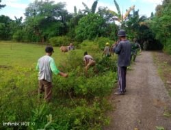 Lestarikan Budaya Gotong Royong, Babinsa Koramil 1409-03/Bontomarannu Pimpin Karya Bakti Bersama Warga Desa Borong Pa’la’la