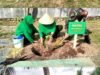Peringati HUT Ke-80, Persit KCK Cabang XXVI Kodim 1409/Gowa Gelar Karya Bakti Penanaman Pohon di Bontomarannu
