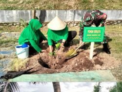 Peringati HUT Ke-80, Persit KCK Cabang XXVI Kodim 1409/Gowa Gelar Karya Bakti Penanaman Pohon di Bontomarannu