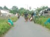 Perbaiki Akses Jalan, Babinsa Bontosunggu Koramil 06/Bajeng dan Warga Kompak Gelar Karya Bakti