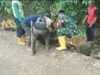 Gotong Royong Perbaiki Jalan, Babinsa Koramil 1409-07/Tompobulu Gelar Karya Bhakti di Dusun Borongbuah