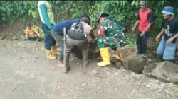 Gotong Royong Perbaiki Jalan, Babinsa Koramil 1409-07/Tompobulu Gelar Karya Bhakti di Dusun Borongbuah