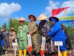 Dukung Ketahanan Pangan Nasional, Pangdam XIV/Hsn Turun Langsung Tanam Kedelai di Selayar