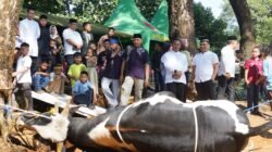 Berkah Idul Adha Mengalir, Pangdam XIV/Hasanuddin Salurkan Puluhan Hewan Kurban Untuk Masyarakat