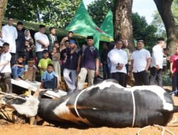 Berkah Idul Adha Mengalir, Pangdam XIV/Hasanuddin Salurkan Puluhan Hewan Kurban Untuk Masyarakat