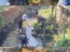 Wujudkan Lingkungan Bersih dan Infrastruktur Layak, Babinsa Koramil 1409-03/Bontomarannu Pimpin Karya Bakti Massal