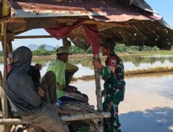 Kawal Ketahanan Pangan, Babinsa Koramil 1409-03/Bontomarannu Pantau Pengolahan Lahan dan Distribusi Air di Dusun Japing