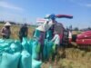 Dukung Ketahanan Pangan, Babinsa Koramil 05/Pallangga Kodim 1409/Gowa Dampingi Panen Raya di Kelurahan Tetebatu