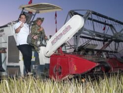 Panen Raya Bersama Presiden RI, Pangdam XIV/Hsn Tegaskan Sulsel Tetap Kokoh sebagai Lumbung Pangan Nasional