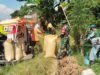 Sukseskan Penyerapan Gabah, Babinsa Koramil Pallangga Kodim 1409/Gowa Pantau Langsung Panen Petani Gunakan Combine