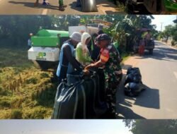 Dukung Ketahanan Pangan, Babinsa Koramil Bontonompo Kodim 1409/Gowa Dampingi Panen dan Serap GKP di Desa Barembeng