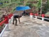 Dandim 1409/Gowa Apresiasi Sinergi TNI-Warga Saat Pembangunan Jembatan ARMCO Memasuki Finish Line