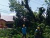 Cegah Bahaya Pohon Tumbang, Babinsa Koramil 01 Somba Opu Kodim 1409/Gowa Gelar Karya Bakti Pangkas Ranting Pohon Bersama Warga Bonto Baddo
