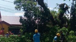 Cegah Bahaya Pohon Tumbang, Babinsa Koramil 01 Somba Opu Kodim 1409/Gowa Gelar Karya Bakti Pangkas Ranting Pohon Bersama Warga Bonto Baddo