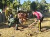 Memperkuat Kemanunggalan TNI-Rakyat, Babinsa Koramil 1409-08/Bontonompo Gelar Karya Bakti Bersama Pemdes Jipang